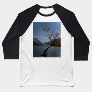 THE LONE LESS TREE Baseball T-Shirt